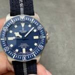 Tudor  Blue Potato