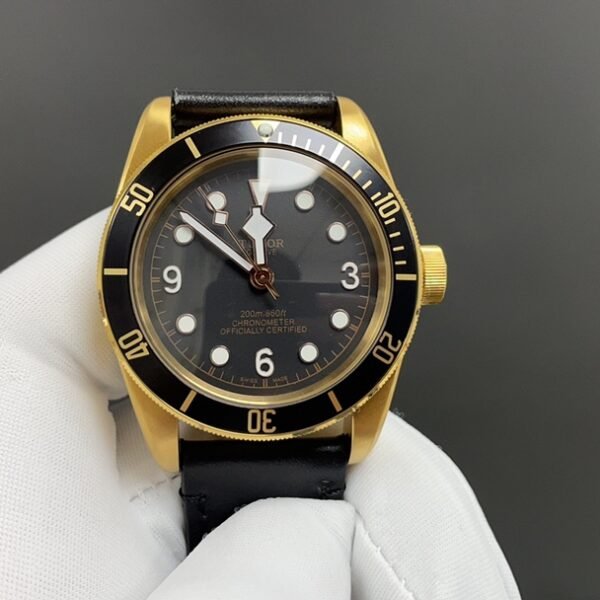TUDOR Golden Case