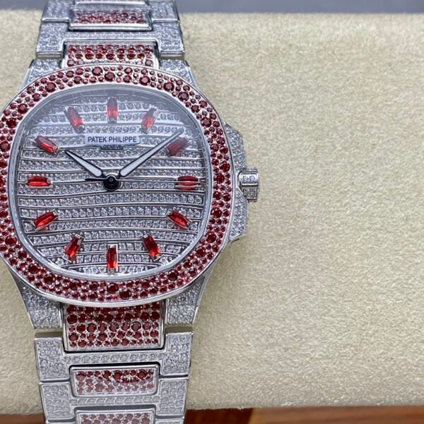 Starry Female Nautilus