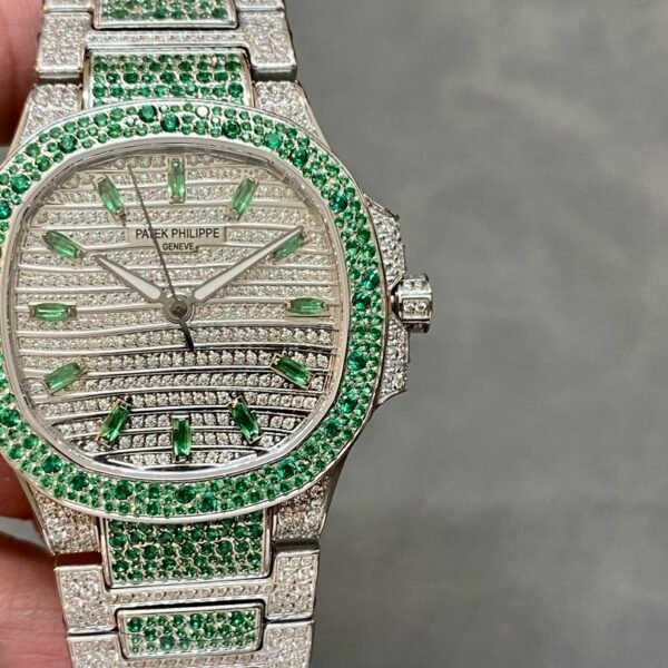 Starry Female Nautilus