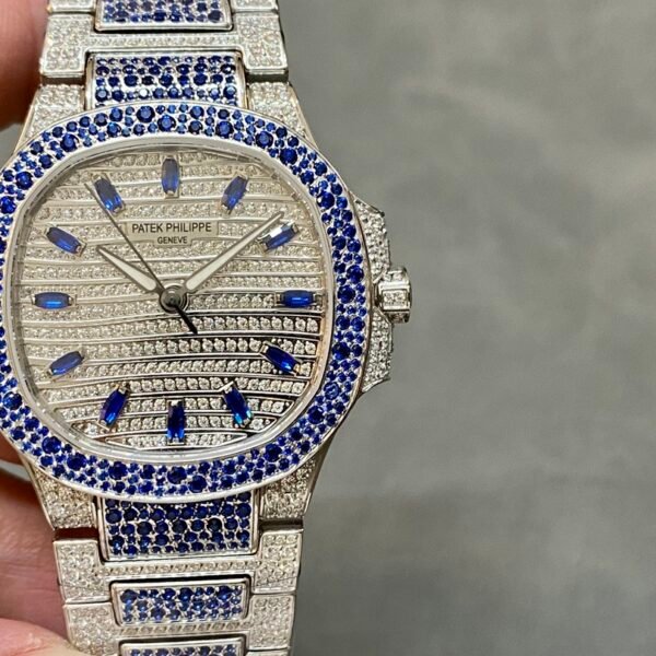 Starry Female Nautilus