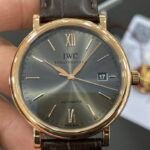 IWC Watches