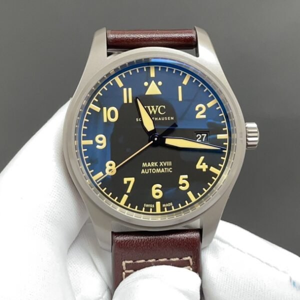 IWC Watches